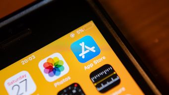 Texas App Store Accountability Act ENJOINED: The Happiest of Holidays