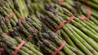 Food Venture Financing News – Weekly Issue No. 275