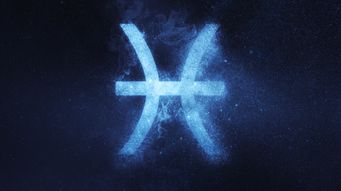 First PISCES auctions take place