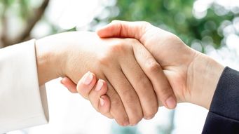 Eleventh Circuit Addresses Duties of Loyalty Owed Between Joint Venturers in Case Involving Public-Private Partnership Design-Build Megaproject