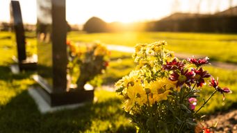 Delaware Wrongful Death Statistics