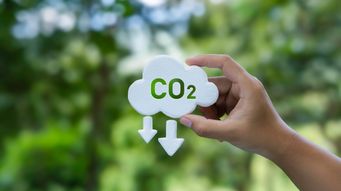 Milieudefensie v. Shell: Appeal verdict key takeaways