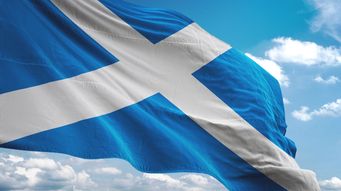 Scottish Government review into grooming gangs