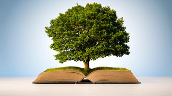 What to expect from environmental law in 2026 - Regulation and Governance