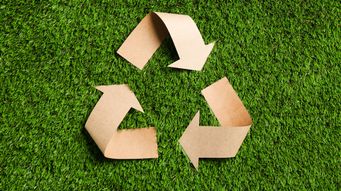 The 5 Most Common Recycling Mistakes, and How to Avoid Them