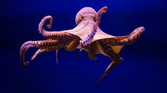 Post showing featured image in header