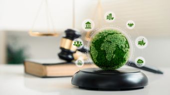 The Role of Sustainability Law in Environmental Protection