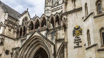 Litigation in the National Courts