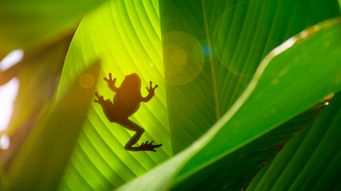 Spring mergers: Weightmans buys two firms while arch.law adds team