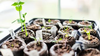 The small pots solution: does it pass muster for members?