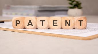On The Edge: Lessons In Patent Litigation Financing