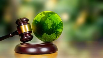 D.C. Circuit Restores Title V Emergency Defense