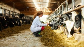 Innovation in Animal Health: Turning Potential into Progress
