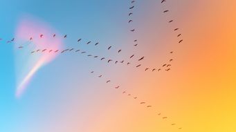 It's starting to feel like spring