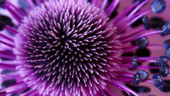 FCPA Enforcement Update: Federal Priorities Shift, State Enforcement Rises, and Congressional Action Signals Future Risk