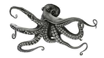 Example of an external post