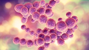 The Connection between Gut Health, Immune Response, and COVID-19 Severity