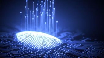 Defending Data Breach Class Actions