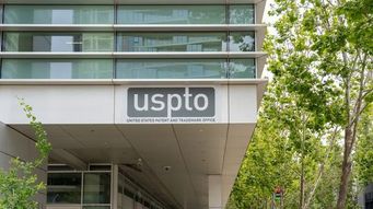 Standing on Solid Ground: Constitutional Standing in Patent Disputes
