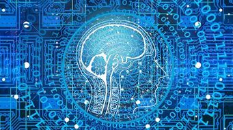 Dystopic Population Control System Supported by China’s AI Development Program
