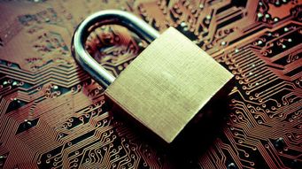 What the Tech? State Privacy Laws Present Compliance Challenges for Businesses