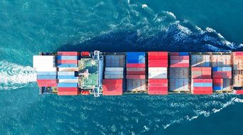Oceanus Capital v Lloyd's Insurance: The Court of Appeal agrees with the Commercial Court on the scope of MII cover