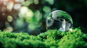 From waste to worth: Capturing economic and sustainable value in circular value chains