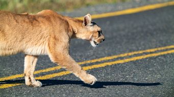 The importance of maintaining nature's equilibrium
