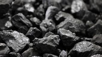Australian Energy Coal Mine Expansion Blocked Over Climate Impacts