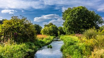 Supreme Court upholds CAT over £2.7bn collective action