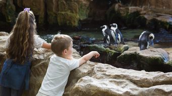 Bristol Zoo Gardens - High Court prioritises open‑space quality; guidance on outdated technical standards