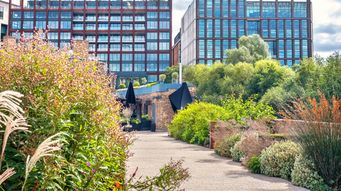 “Watt’s mine is yours” - environmental data sharing considerations for office occupiers