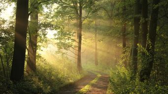 What to expect from environmental law in 2026 - Natural Capital and Air and Emissions