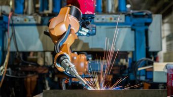 Volatility, Resilience and the Role of Operations