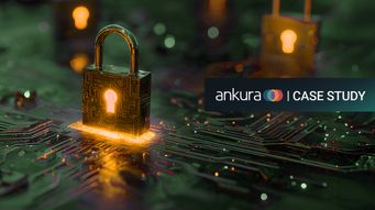 Post-Breach Case Study: Akira Behavioral Insights