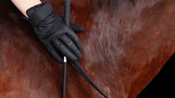 FEI Restricts Use of Whip in Eventing Discipline