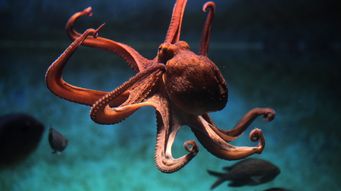 Post showing a featured image in the header