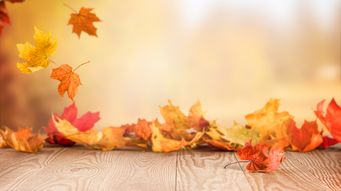 Autumn Budget 2025 update