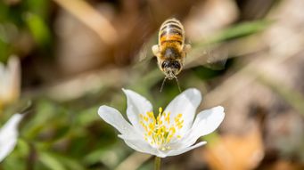 New Biodiversity Net Gain exemptions from August 2026: What developers need to know