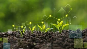 Budget 2026: balancing growth, investment and tax