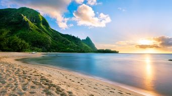 Hawaii Insurance Division Reclassifies Pet Insurance as Property Insurance