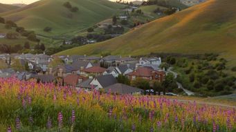 California Local Wage Increases Effective July 1, 2026