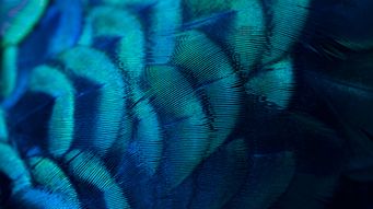 Developing an oversight regime for sustainability assurance: key points from the UK government consultation