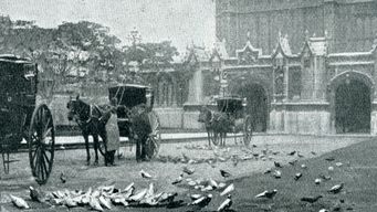 Uniquely coordinate high-quality information with 24/7 e-commerce. Monotonectally.