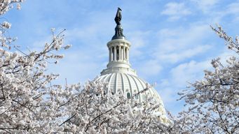 Regulatory Clarity or Continued Uncertainty? Senate Banking Committee Sets January Vote on Crypto Framework