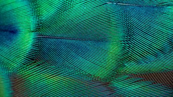 A trio of consultations: The UK government consults on sustainability reporting requirements and transition planning