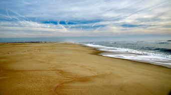 Maryland Enacts Protection From Predatory Pricing Act