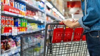 Consumer Class Actions Targeting Post-Tariff Pricing: An Emerging Risk for Importers and Retailers