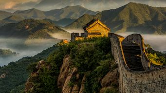 China’s IP Response in Environmental and Climate Action