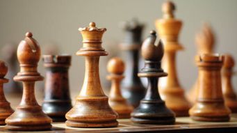 Lessons from a Grandmaster: what can chess teach us about witness credibility?